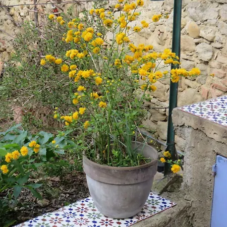 Maison Trivalle *